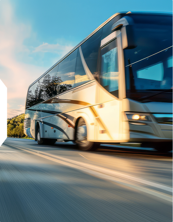 Turismo e excursões
